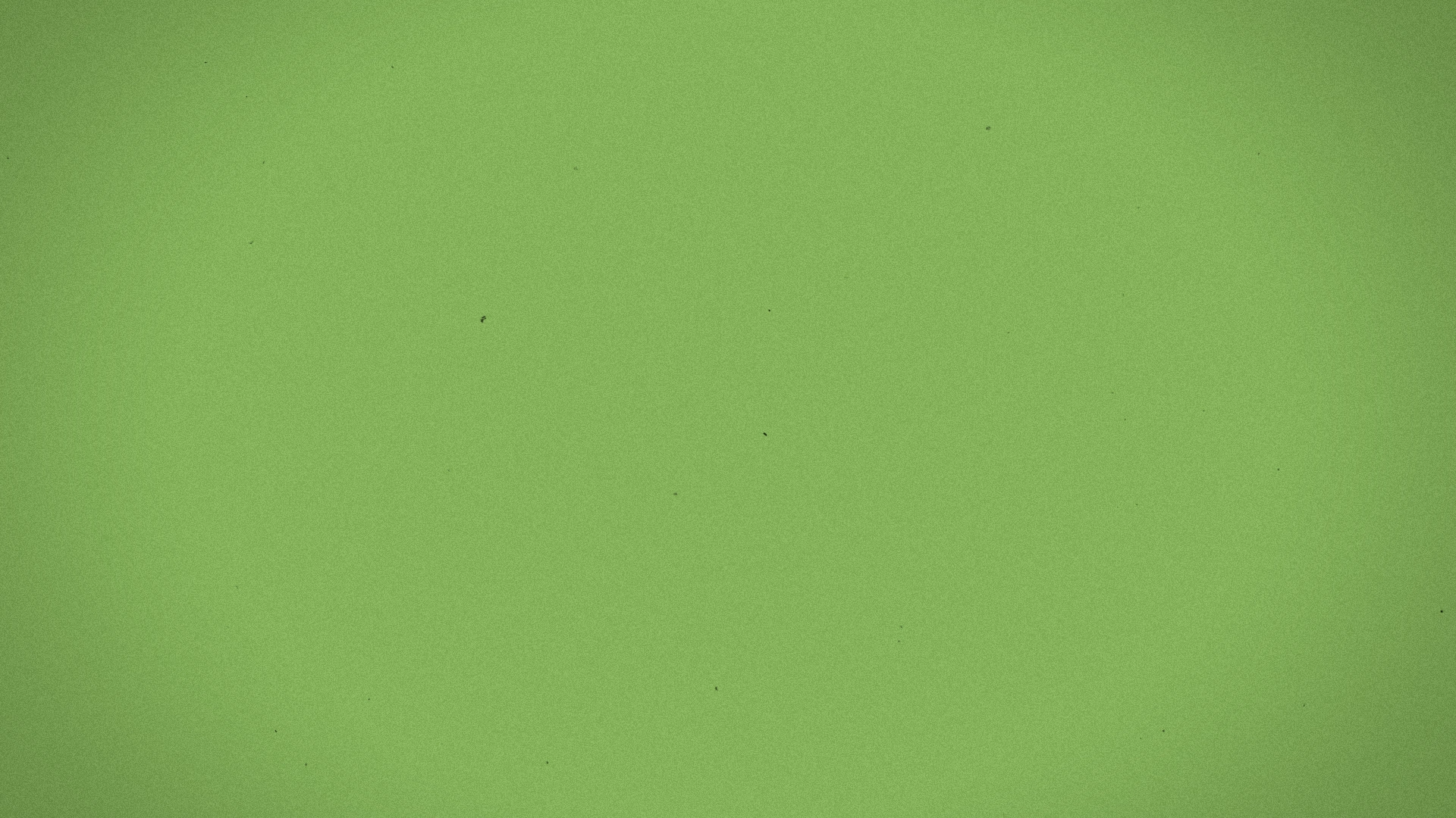 Abstract green visual texture